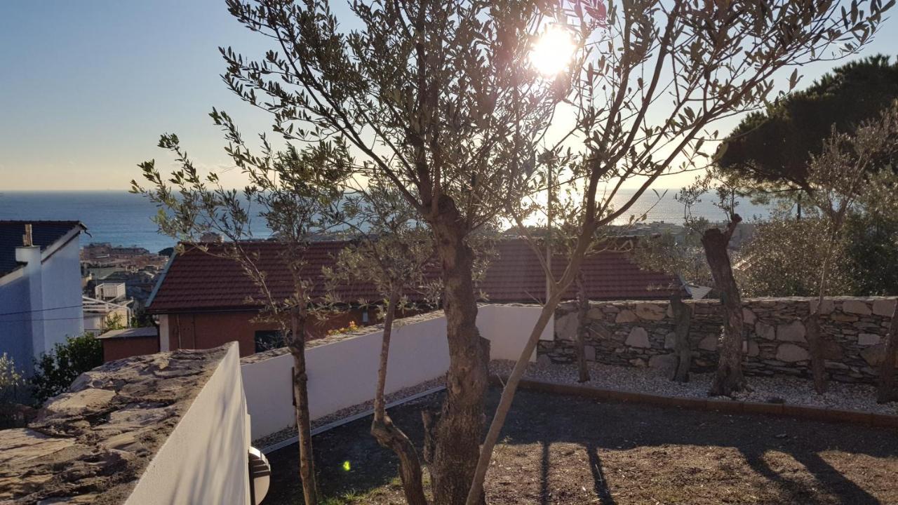 Apartmán Poggio Degli Ulivi Janov Exteriér fotografie